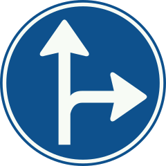 Rond blauw bord met een witte pijl rechtdoor en een aftakkende pijl naar rechts